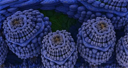Primer plano de células bacterianas