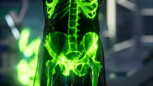 Glowing Green Human Skeletal System 3D Animation
