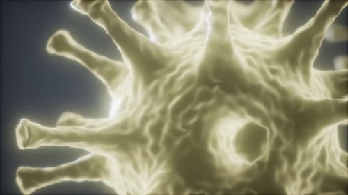 Animated Microscopic Virus Particle for Medical Science