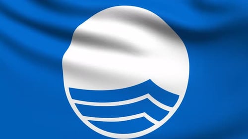 Waving Blue Flag with White and Blue Wave Logo Animation