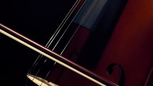 On strings of cello play with bow in darkness, close-up. On a string musical instrument violoncello