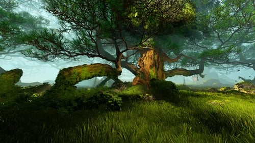 Vieil arbre dans le fourré de la forêt