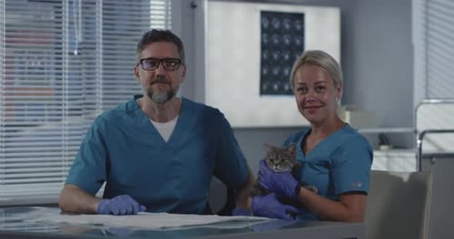 Veterinarians Sitting Next to a Cat in Office
