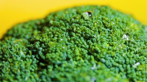Close Up Green Fresh Broccoli Vegetables Rotating