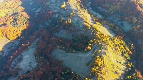 Sommets de haute montagne avec forêt jaunie sous un soleil éclatant