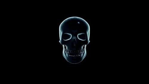 Shattering Skull and Brain Reveal with Electric Lightning