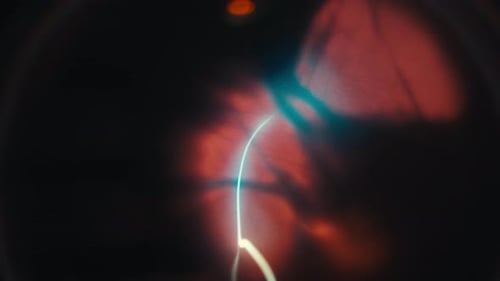 Electric Plasma Ball with Blue Light Traces