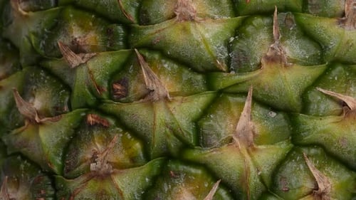 Pineapple 48