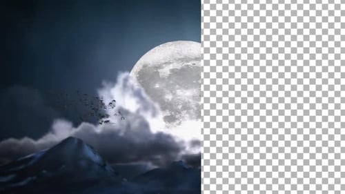 Spooky Animated Swarm of Flying Bats Transition