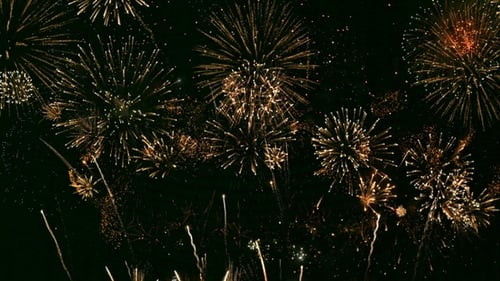 Brilliant Fireworks Exploding in the Night Sky