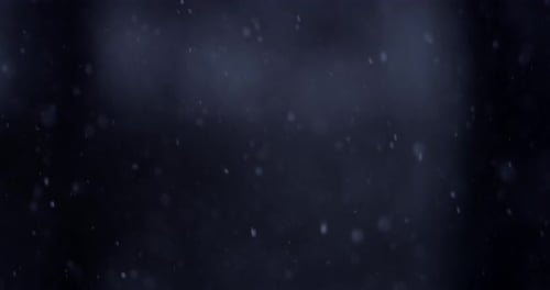 Nieve