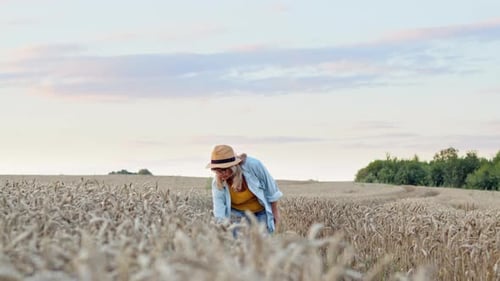 Nice Blonde Touches Wheat Ears With Her Hand. Beautiful Woman In Hat Walks On Trail On Wheat Field