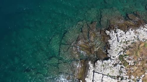 Island of Life