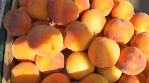 Fresh Organic Peaches On Stand