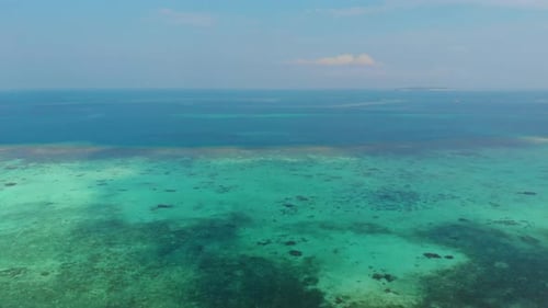 Aerial drone: uncontaminated coastline tropical beach caribbean sea coral reef palm tree woodland