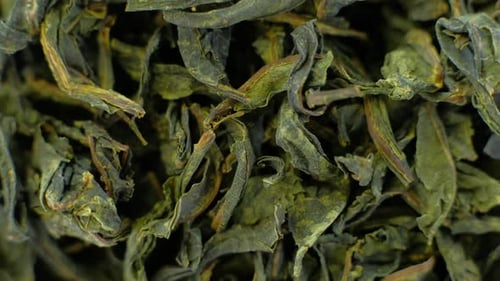 Rotating Pile of Jasmine Green Tea Macro Video