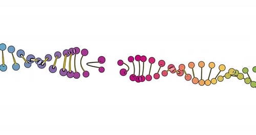 Color Visualization of DNA Analysis Isolated on White Background 3d Rotation Animation for Montage