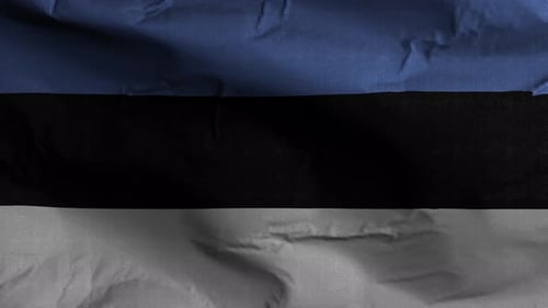 Realistic Waving Flag of Estonia Seamless Loop