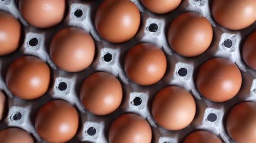 A Tray of Eggs 02