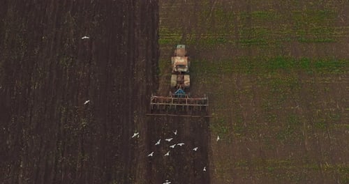 Old Rusty Tractor is Plowing Land and Seeding Cereals Crops View From Drone Prores