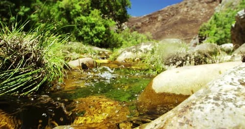 Flusswasser fließt durch Felsen und Gras