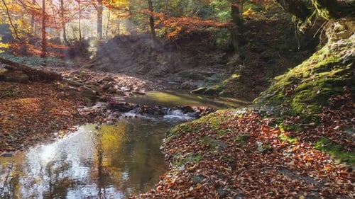 Autumn landscape. The river in the autumn forest and the sunshine through the foliage