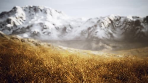 Dry Grass and Snow Covered Mountains in Alaska