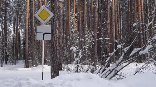Road Sign a Priority Road in Snowy Forest