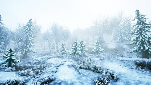 Wintersturm in einem Wald im Winter