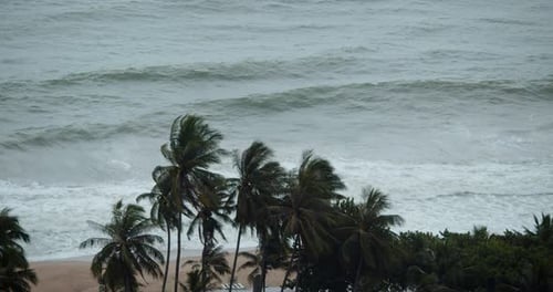 Shooting From an Overlooking the Sea Waves and Palms Beautiful Waves Bad Weather Turquoise Sea Waves