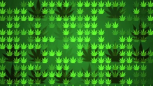Green Cannabis Leaves Seamless Loop Animated Background