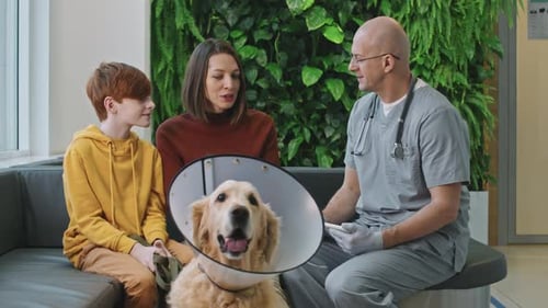 Family Consults with Vet About Dog's Recovery