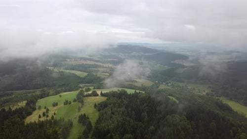 Fliegen in Wolken über den Wäldern