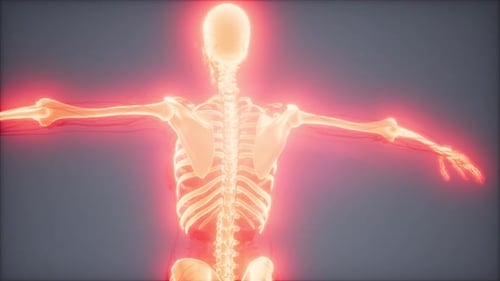 Animated Human Skeleton with Red Glowing Aura