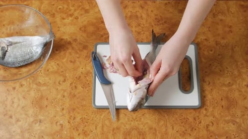 Hands Cleaning and Preparing a Raw Fish