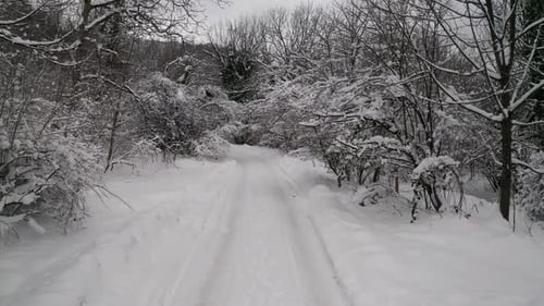 Walking on a winter snowy road in the forest