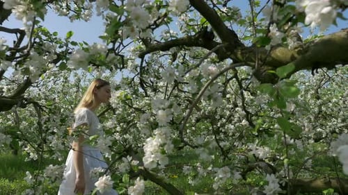 Woman in Blossoming Orchard on a Spring Day