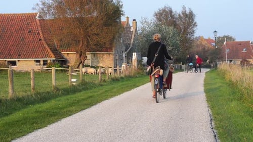 Road Through Rural Village With Sheep And Cyclists