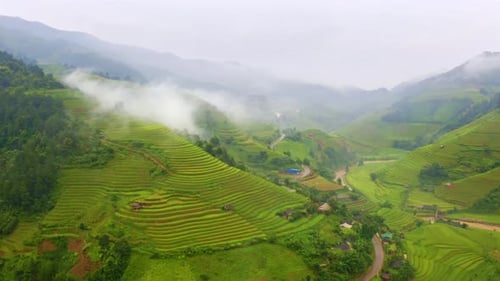 Aerial top view of paddy rice terraces, green agricultural fields