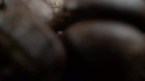 Macro Shot of Roasted Coffee Beans