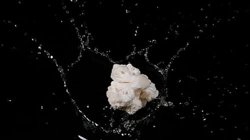 Blumenkohl, Brassica oleracea, Gemüse, das vor schwarzem Hintergrund ins Wasser fällt, Zeitlupe