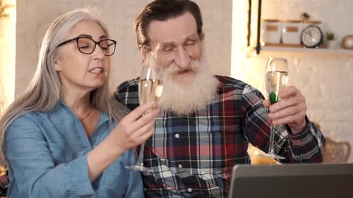 Senior Couple Toasting Champagne on a Video Call