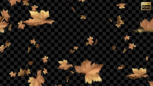 Seamless Falling Brown Autumn Leaves Animation Overlay