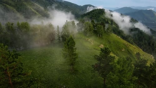 Ein Flug durch den Nebel