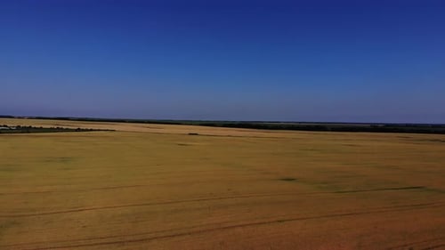 Top view of the wheat fields.