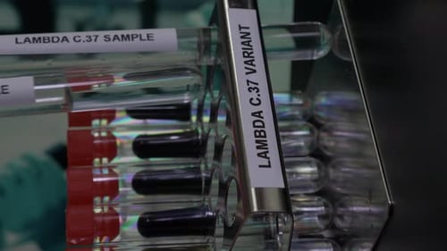 Proben des Lambda C37-Varianten-Teströhrchens werden in das Rack eingesetzt Vertikales Video, gesperrt