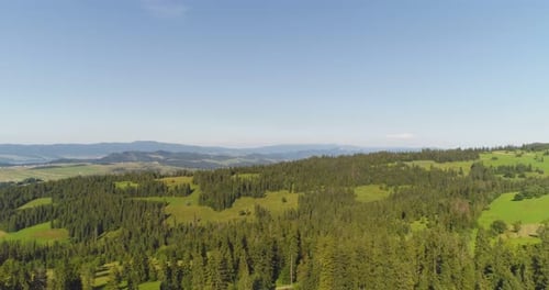 Survoler les magnifiques arbres de la forêt. Panorama du paysage