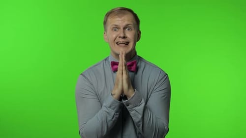 Handsome Man Hands in Prayer and Begging, Asking Permission Heartily. Apologize, Forgive. Chroma Key