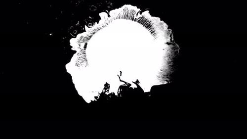 White Ink Bursts Across Black Background