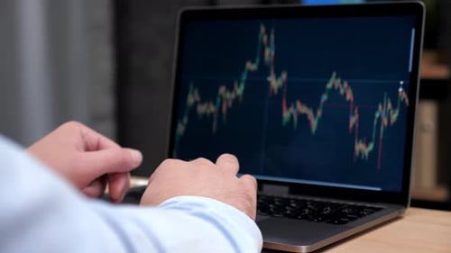 человек с ноутбуком изучает биржевые графики
